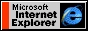esplorer.jpg (4909 byte)
